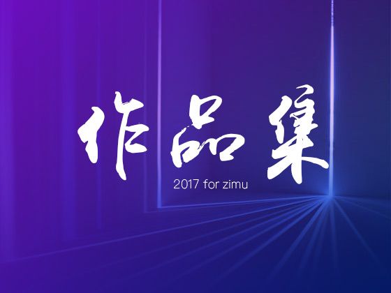2017做的的过一些画册