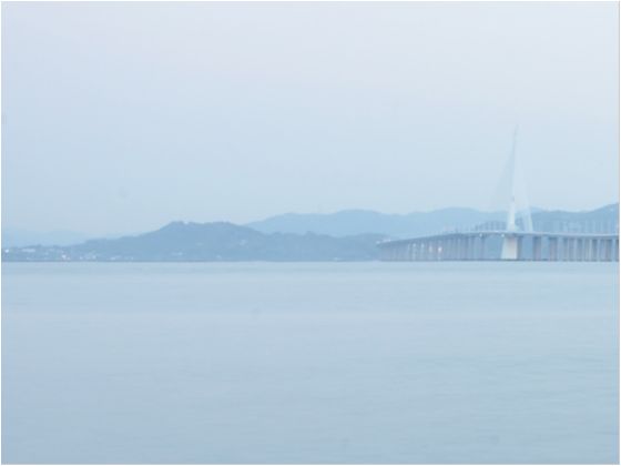 深圳湾一角