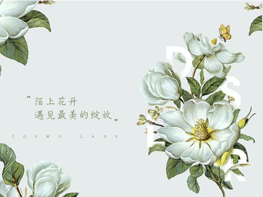 17完结篇