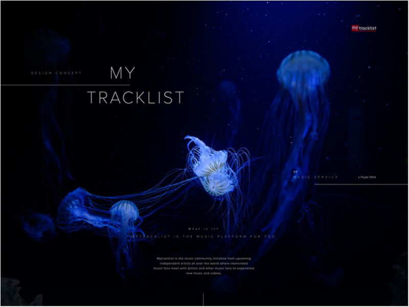 MyTracklist - Design Concept