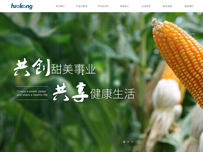 华康药业首页提案