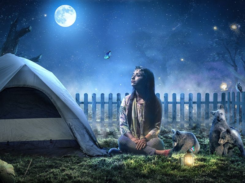 【视觉合成】与小蝴蝶的对视