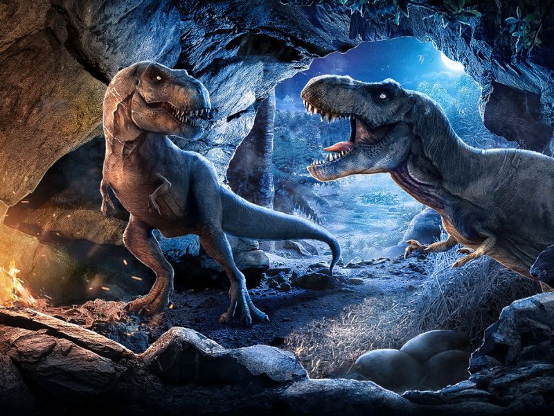 【视觉合成】动我的蛋试试看