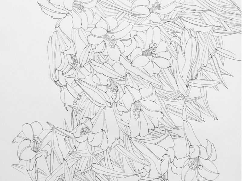 乐章（三）-《赞礼》