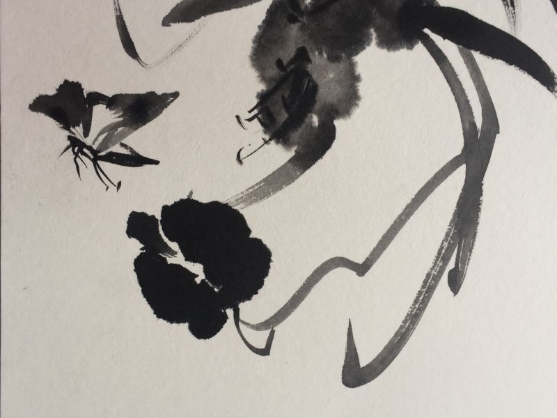 《蝶舞花婵娟》