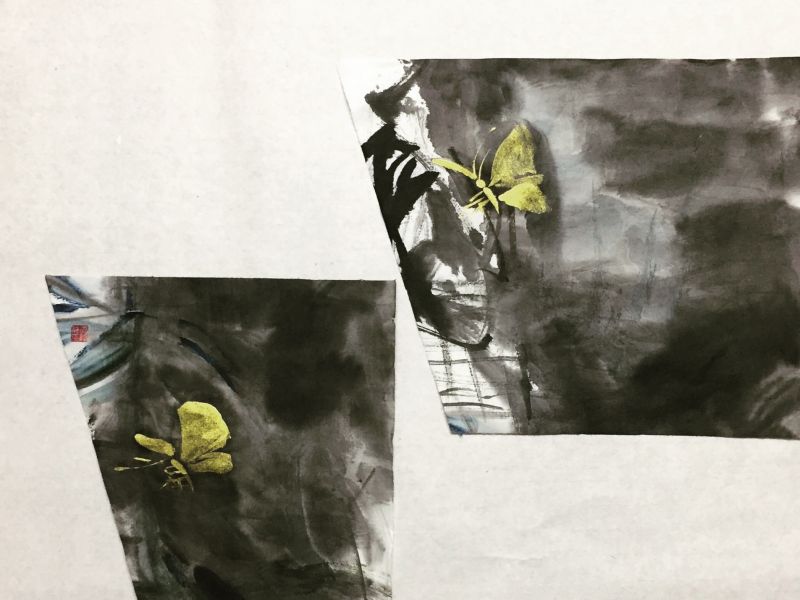 窥|《结义金蝶》