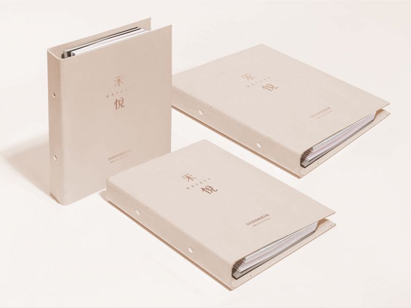 禾悦项目产品册设计