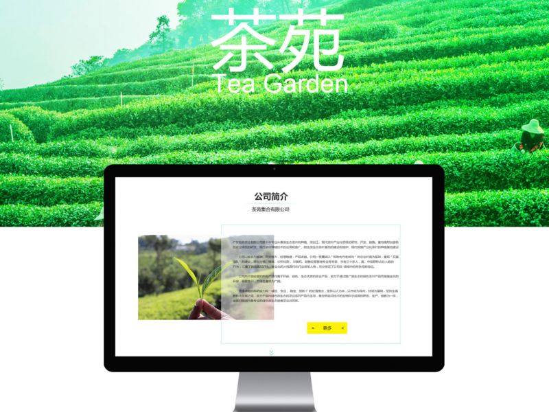 网页设计