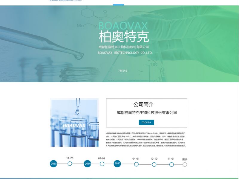企业网站