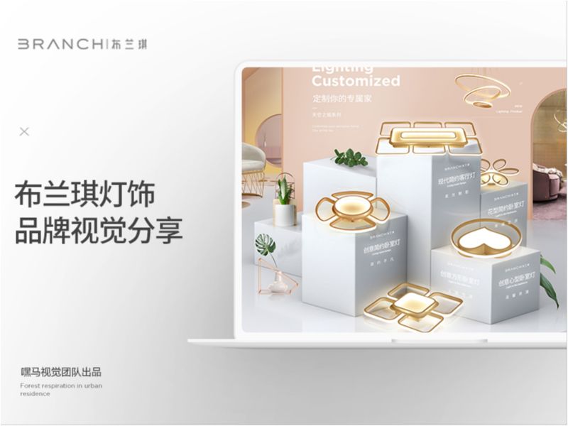 灯饰品牌项目策略分享