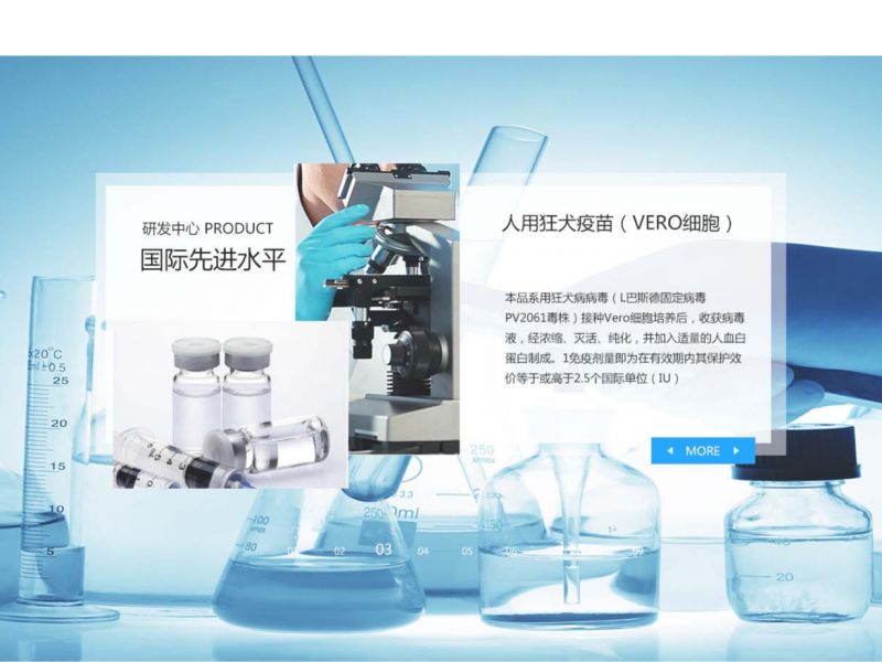 临摹网页