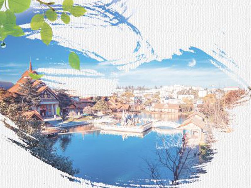 旅居优惠券  招生单页