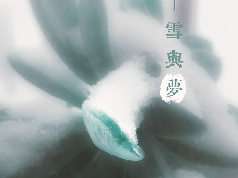 雪與夢