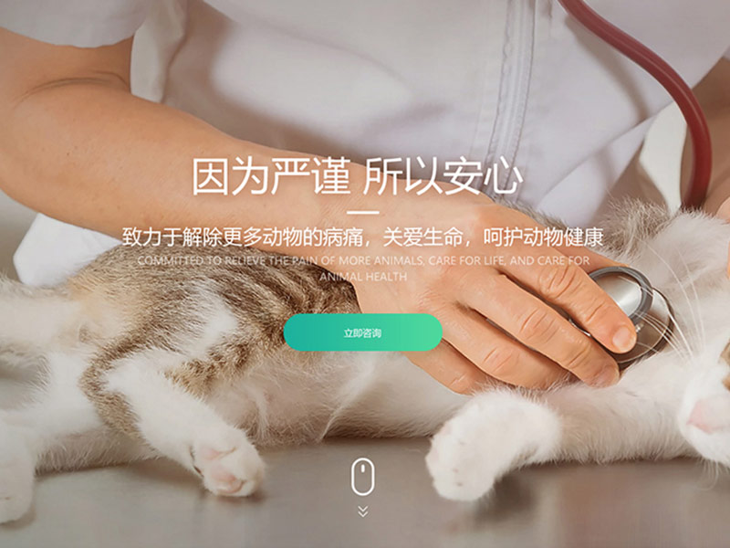 VET ANAN - 宠物医院官网设计