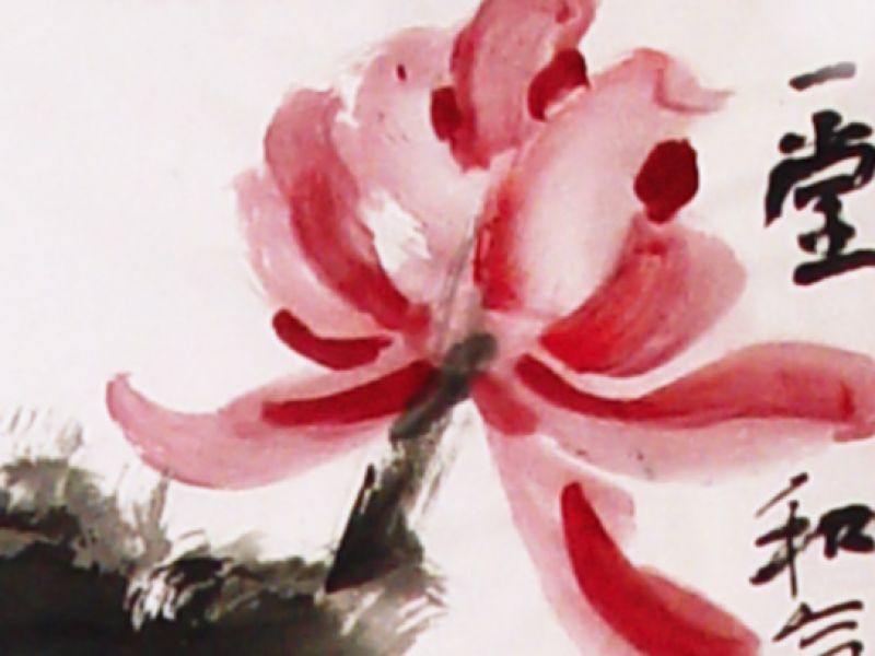 锦上添花春意暖