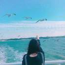 blueblue
