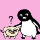 SIN⁺