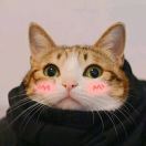LoongY